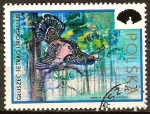 Stamps Poland -  Congreso Internacional de Caza y el Consejo de 50 Aniv de la Asociación Polaca de Caza (Urugallo).