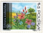 Stamps Poland -  255 Flora