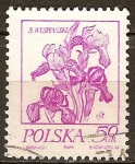 Stamps Poland -  Dibujos de S. Wyspianski.Flor Iris.