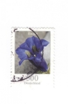 Stamps Germany -  Enziun