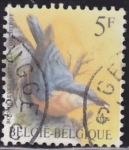 Stamps Belgium -  