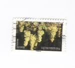 Stamps France -  Uvas blancas