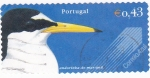 Stamps Portugal -  ANDORINHA-DO-MAR-