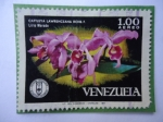 Sellos de America - Venezuela -  Cattleya Lawrenceaqna -Rchb F- Lirio Morado.