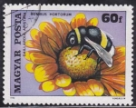 Stamps Hungary -  