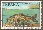 Sellos de Europa - Espaa -  CARPA  CYPRINUS  CARPIO