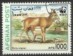 Stamps Asia - Afghanistan -  WWF - fauna, ovis vignei