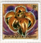 Stamps Rwanda -  3 Geaster