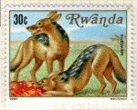 Sellos de Africa - Rwanda -  42 Fauna