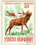 Sellos de Europa - Rumania -  86 Cervus elaphus