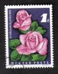 Stamps Hungary -  XV. Rose Show 1972