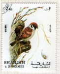 Stamps United Arab Emirates -  17  SHARJAH