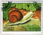 Stamps United Arab Emirates -  59  SHARJAH