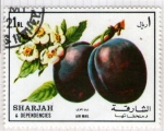 Stamps United Arab Emirates -  99  SHARJAH