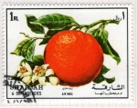 Stamps United Arab Emirates -  100  SHARJAH