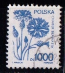 Stamps Poland -  Flores