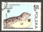 Stamps Poland -  2418 - Zoo de Varsovia, foca gris