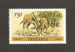 Sellos de Africa - Tanzania -  Jirafas