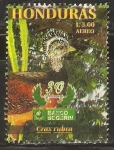 Stamps America - Honduras -  AVES   EN   PELIGRO   DE   EXTINCIÒN.   CRAX   RUBRA