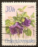 Stamps Czechoslovakia -  Cobaea scandens.