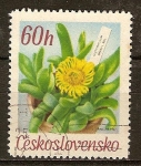 Stamps Czechoslovakia -  Glottiphyllum davisii.