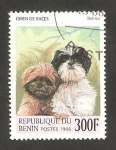 Sellos de Africa - Benin -  Perros de raza, Shih Tzu