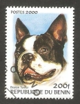 Stamps Benin -  Perro de raza, Boston Terrier