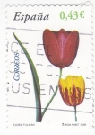 Sellos de Europa - Espaa -  FLORA- Tulipán   (7)