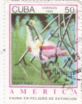 Sellos de America - Cuba -  UPAEP- Fauna en peligro de extinción