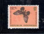 Sellos del Mundo : Asia : Indonesia : Mariposa (Papilionidae: Troides amphrysus)