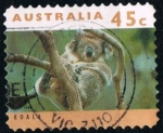 Sellos de Oceania - Australia -  Koala