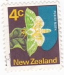 Stamps New Zealand -  Mariposa- puriri moth