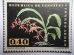 Stamps Venezuela -  Orquidea-Catasetum callosum Lindi