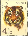 Stamps Poland -  PANTHERA  TIGRIS  SAMATRAC