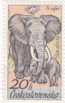 Stamps Czechoslovakia -  Elefantes africanos