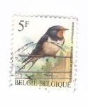 Stamps Belgium -  Pájaro