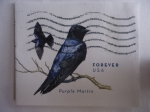 Sellos de America - Estados Unidos -  Purple Martin Stamed Envelope-Sellos estampados en el sobre