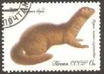 Sellos de Europa - Rusia -  4708 - Fauna