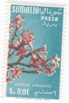 Stamps Somalia -  FLORA- ADENIUM SOMALENSE