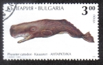 Sellos del Mundo : Europe : Bulgaria : Physeter Catodon