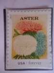 Sellos de America - Estados Unidos -  FLORES- Aster.