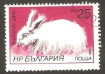 Stamps : Europe : Bulgaria :  2994 - Conejo de angora
