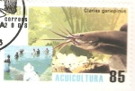 Sellos de America - Cuba -  CLARIAS  GARIEPINUS