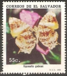 Sellos del Mundo : America : El_Salvador : MARIPOSAS.  HYPANARTIA  GODMANI.