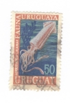 Stamps Uruguay -  Fauna de Uruguay.Calamar