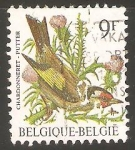 Stamps Belgium -  AVES.   CHARDONNERET.