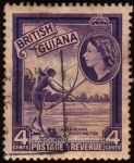 Stamps Guyana -  SG 334