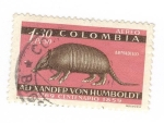 Stamps Colombia -  Centenario de Alexander Von Humboldt.Armadillo