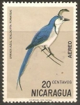 Stamps : America : Nicaragua :  URRACA  AZUL.  CALOCITTA  FORMOSA.