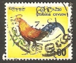 Stamps Sri Lanka -  Gallo